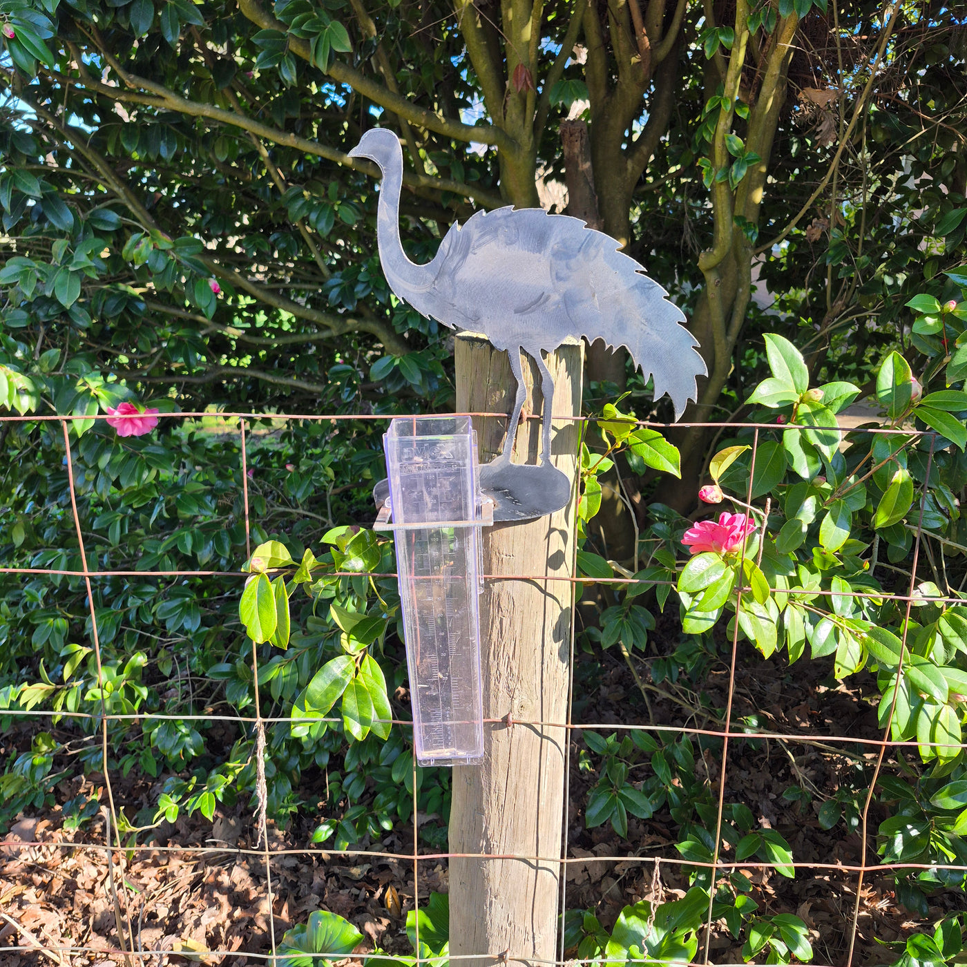 Rain Gauge - Metal Emu & 150ml Rain Gauge