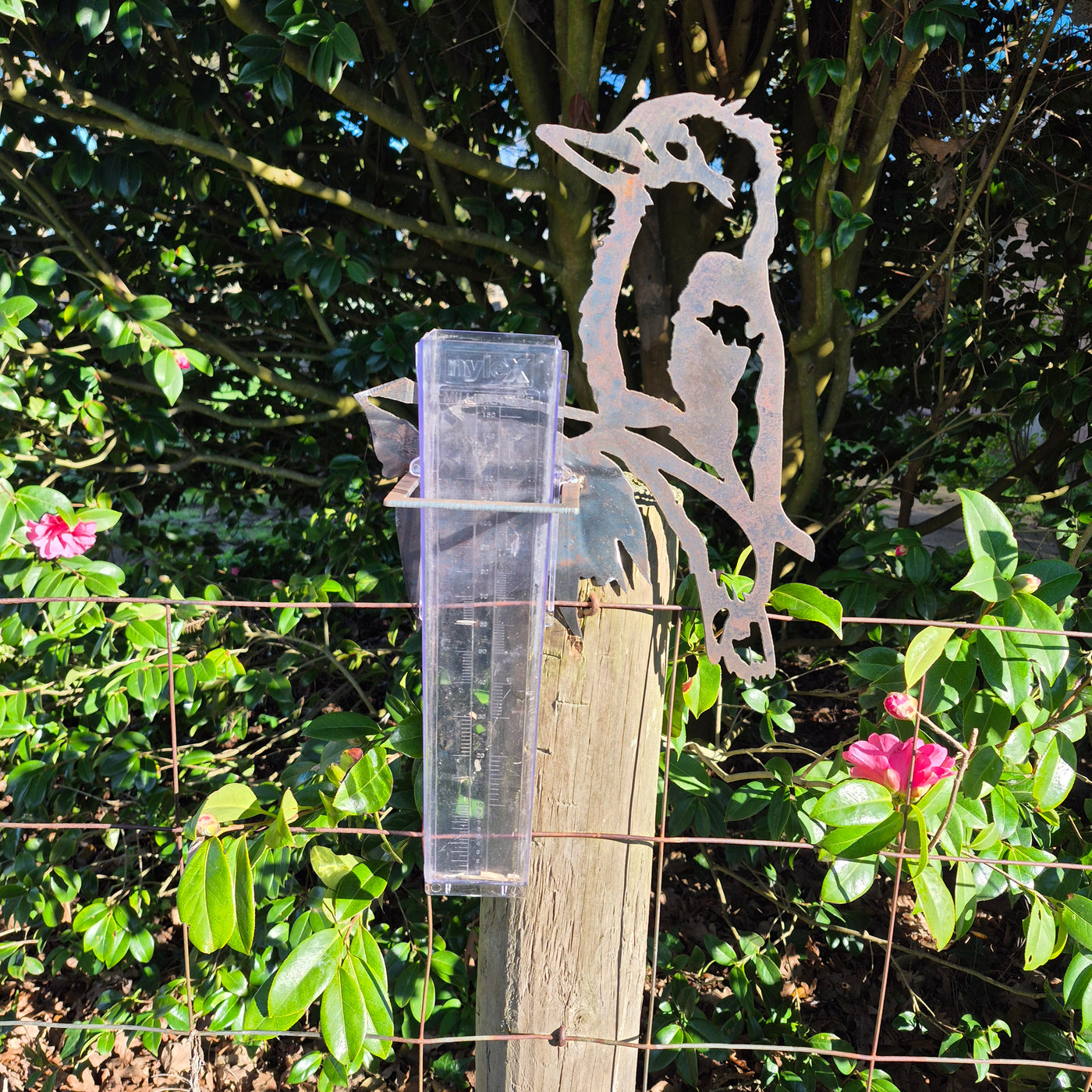 Rain Gauge - Metal Kookaburra & 150ml Rain Gauge