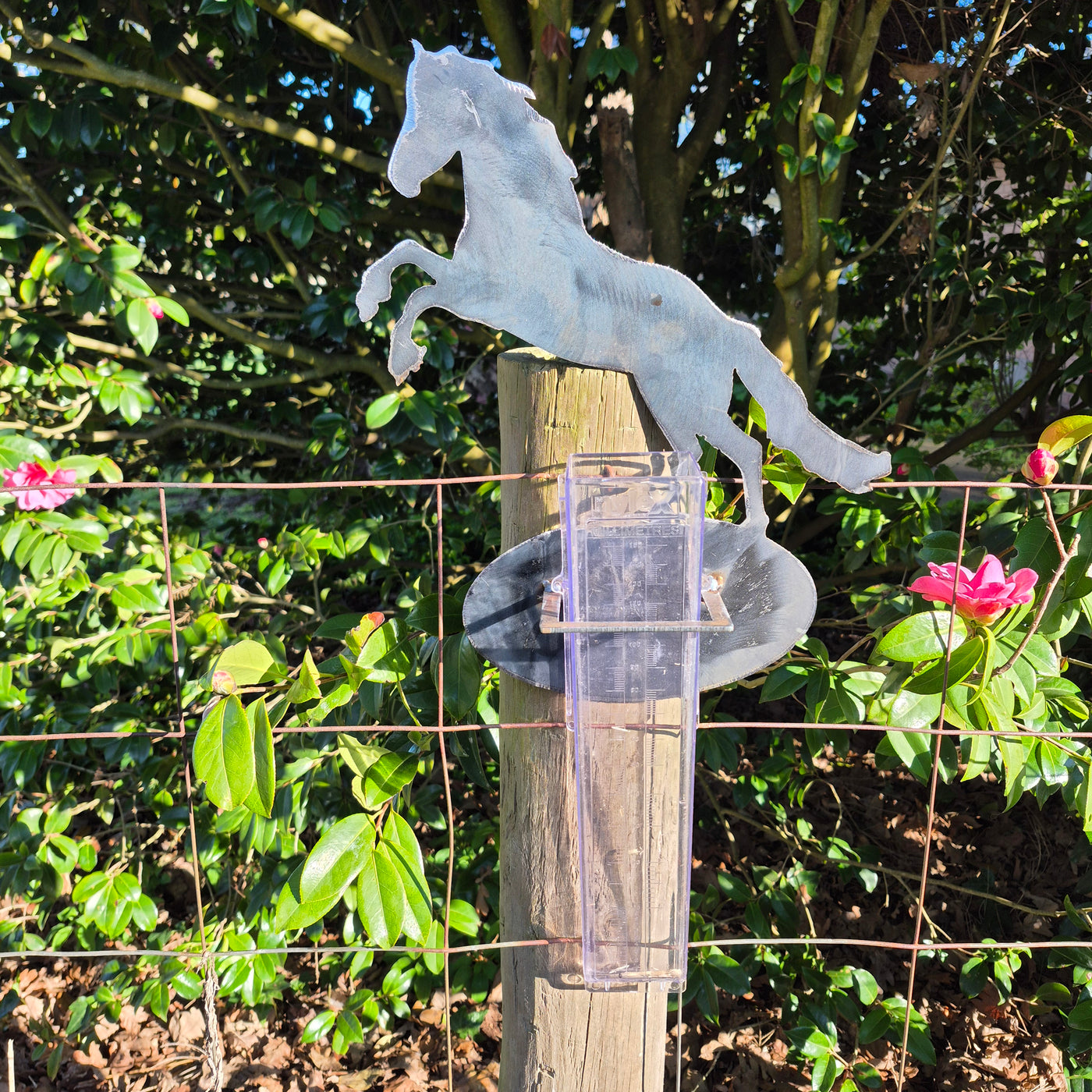 Rain Gauge - Metal Rearing Horse & 150ml Rain Gauge